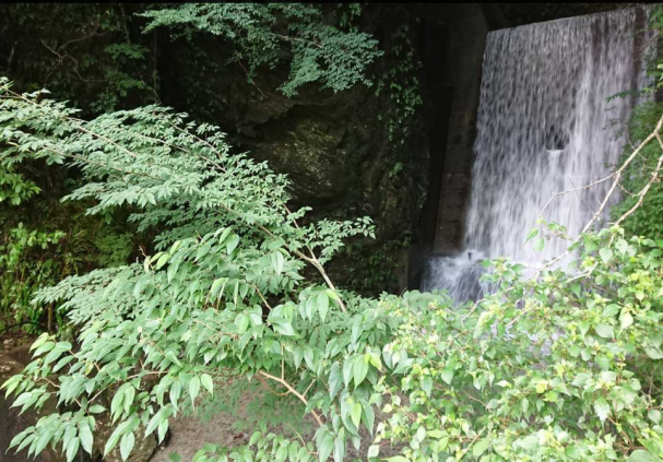 高知, 長岡郡大豊町大砂子20-3